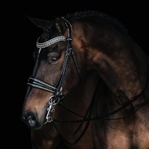 Cabezada doble MRS. ROS JHONNY