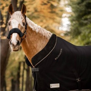 Manta WALDHAUSEN MODERN ROSÉ Black