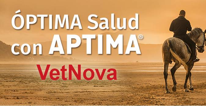 suplementos para caballos vetnova
