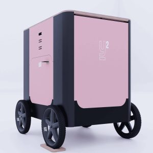 Baúl YURT Y2 ROSÉ GIVRE