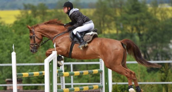 jinete de equitación deportiva saltando